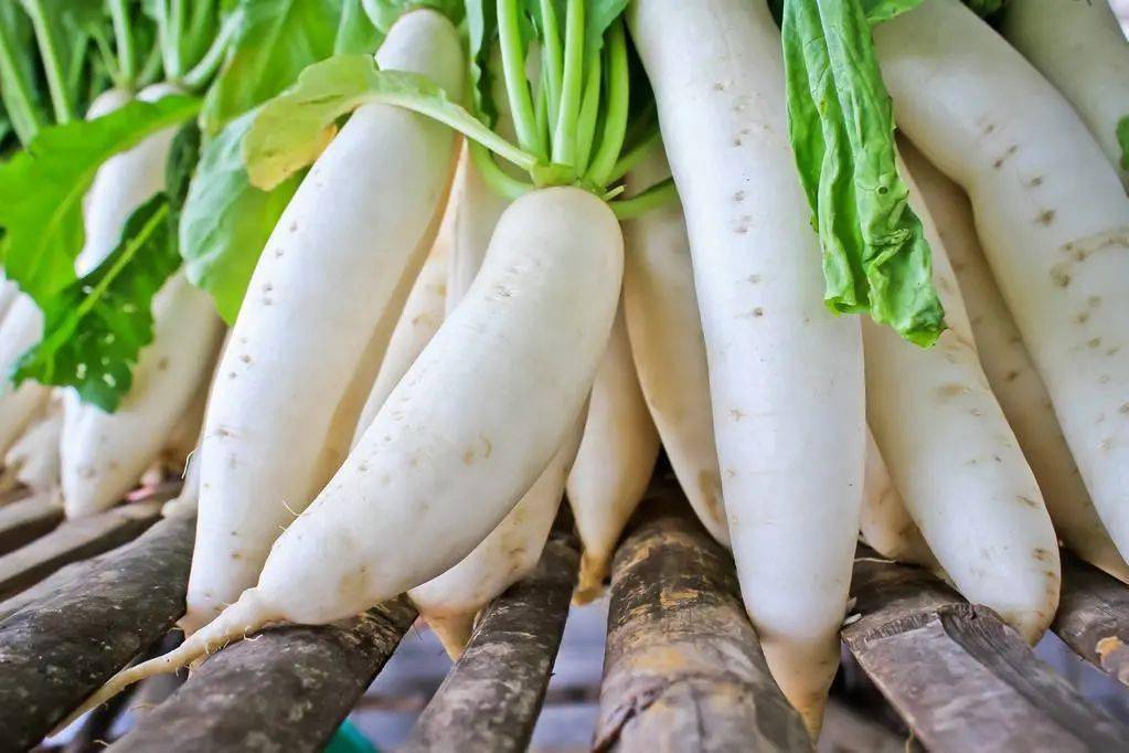 蔬菜配送公司承包食堂的优势。