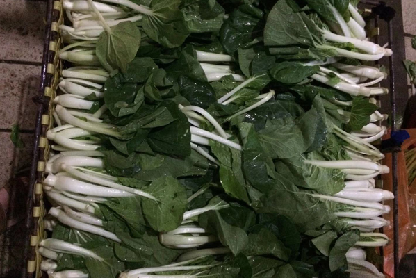 学校食堂蔬菜配送